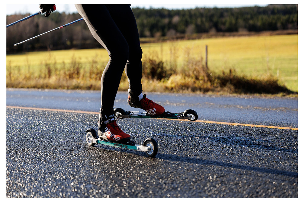 PRO SK RS  - Rollerski