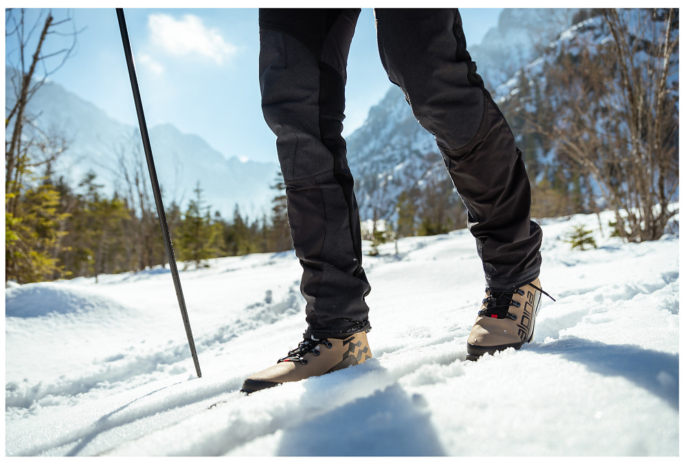 TR FREE  - Backcountry